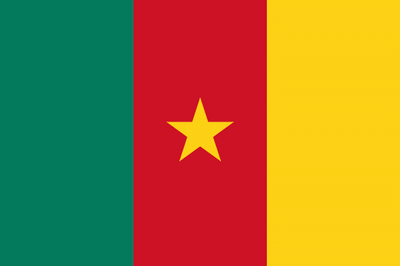 Flag of Cameroon