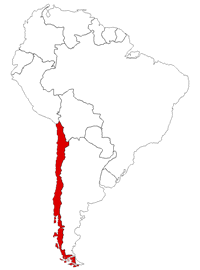 Chile on the map