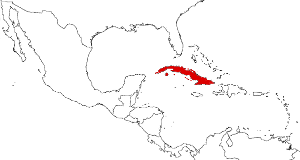 Cuba on the map
