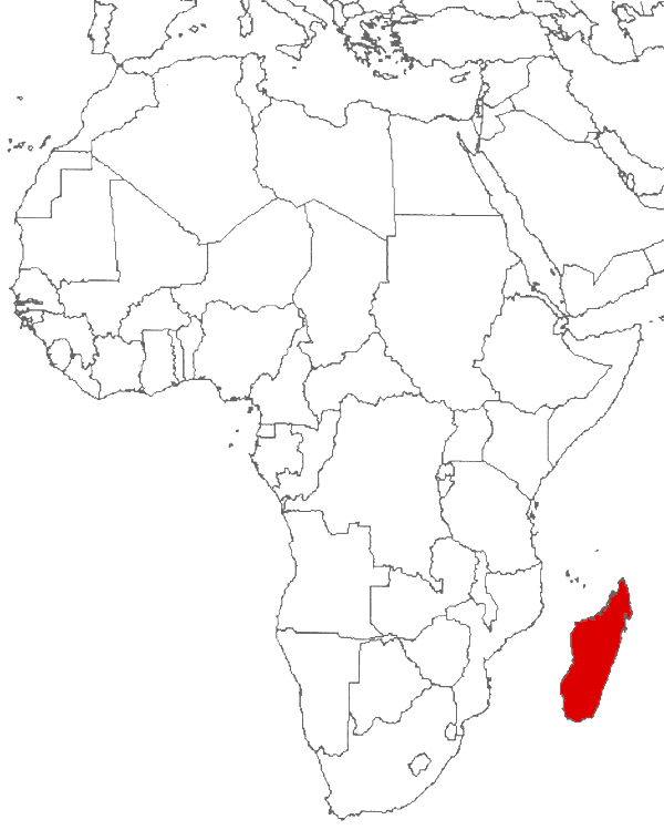 Madagascar on the map