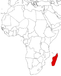 Madagascar on the map
