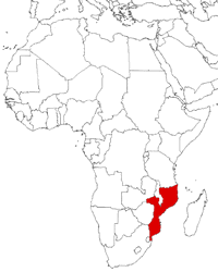 Mozambique on the map