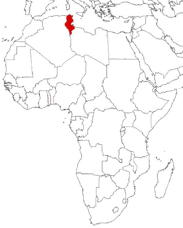 Tunisia on the map