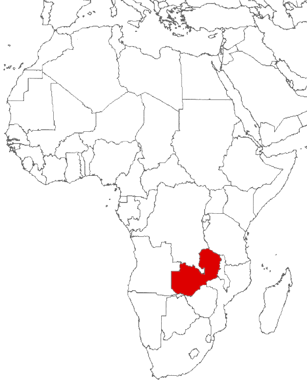 Zambia on the map